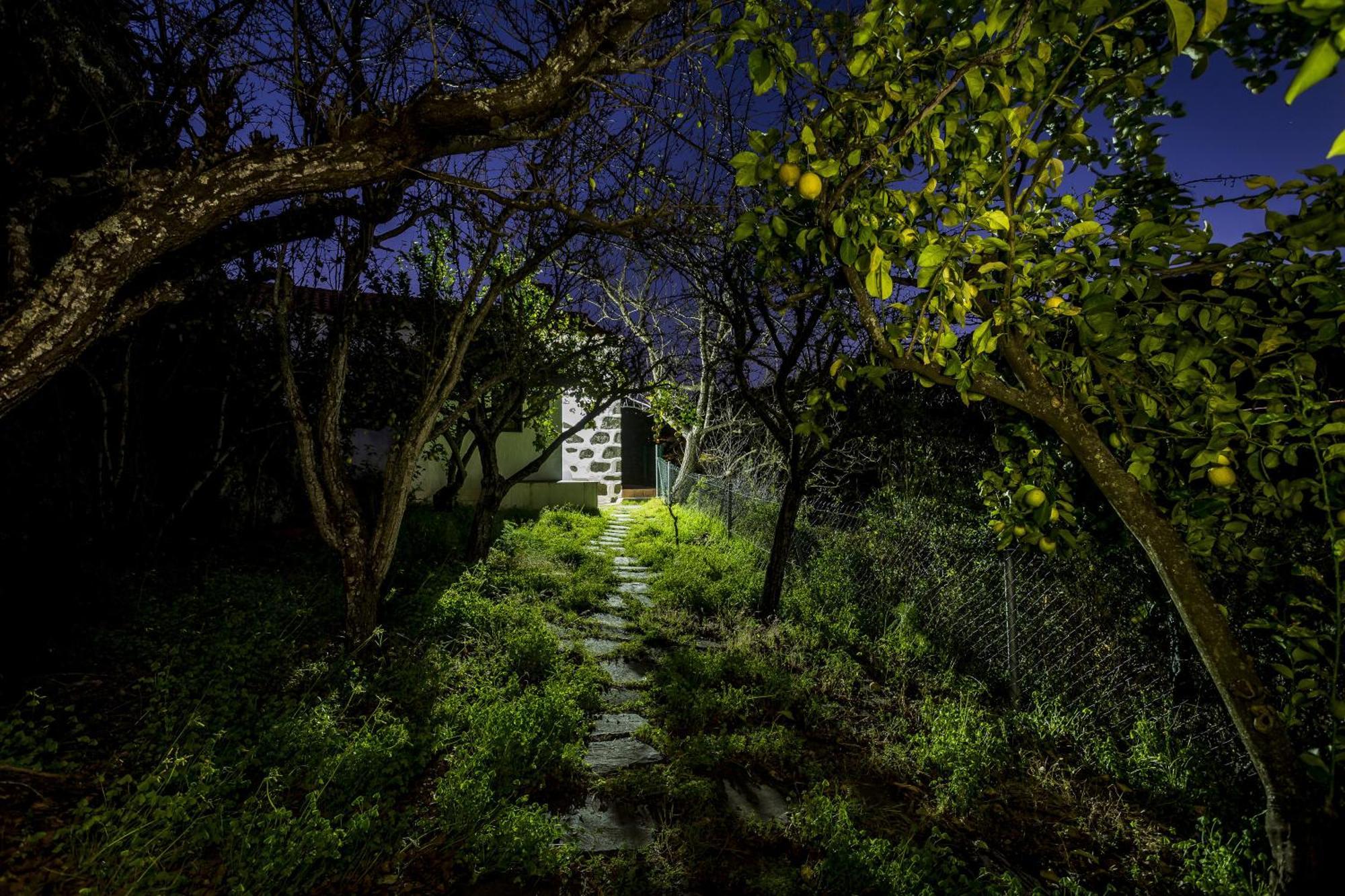 Casa Rural La Escalerilla Teror Exteriér fotografie